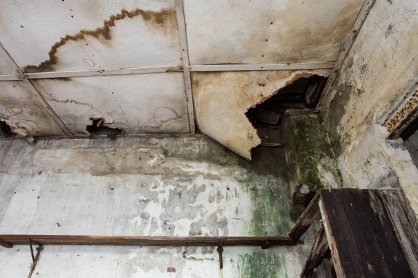 Cost of Water Damage Service in Slidell