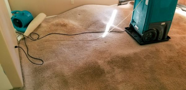 Cost of Carpet Water Extraction in Slidell