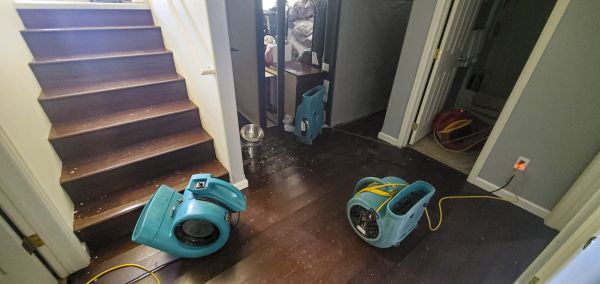 Cost of Water Damage Remediation in Slidell
