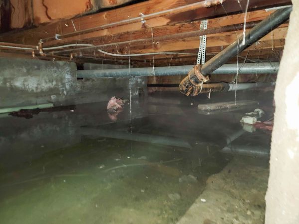 Cost of Crawl Space Drying in Slidell