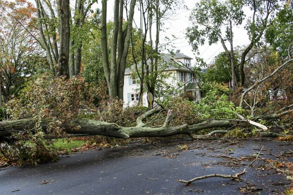 Cost of Tornado Damage Repair in Slidell