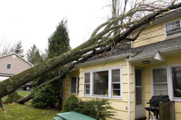 Cost of Hurricane Damage Repair in Slidell